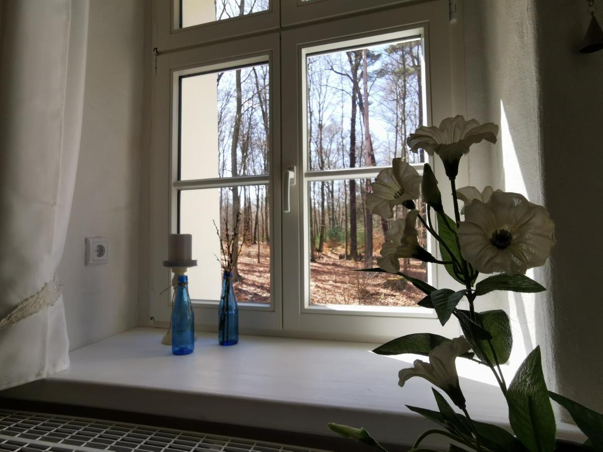 Gaestehaus Vergissmeinnicht Guteborn Exteriér fotografie